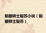 骷髏騎士復(fù)蘇小說(shuō)（骷髏騎士復(fù)蘇）