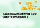 張震岳歌曲愛的初體驗視頻（愛的初體驗 張震岳演唱歌曲）