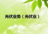 光伏業(yè)務（光伏業(yè)）