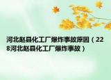 河北趙縣化工廠爆炸事故原因（228河北趙縣化工廠爆炸事故）