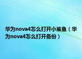 華為nova4怎么打開小鯊魚（華為nova4怎么打開備份）