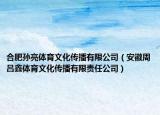 合肥孫亮體育文化傳播有限公司（安徽周呂鑫體育文化傳播有限責(zé)任公司）