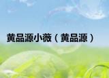 黃品源小薇（黃品源）