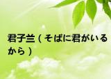 君子蘭（そばに君がいるから）