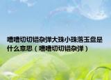 嘈嘈切切錯雜彈大珠小珠落玉盤是什么意思（嘈嘈切切錯雜彈）