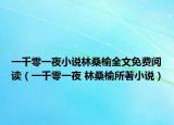 一千零一夜小說林桑榆全文免費(fèi)閱讀（一千零一夜 林桑榆所著小說）