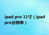 ipad pro 11寸（ipad pro分辨率）