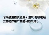 沼氣是生物質(zhì)能源（沼氣 有機(jī)物經(jīng)微生物作用產(chǎn)生的可燃?xì)怏w）