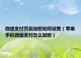 微信支付頁面加密如何設(shè)置（蘋果手機微信支付怎么加密）