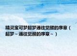 精靈寶可夢(mèng)超夢(mèng)通往覺(jué)醒的序章（超夢(mèng)～通往覺(jué)醒的序章～）