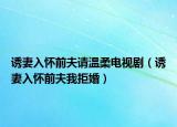 誘妻入懷前夫請溫柔電視?。ㄕT妻入懷前夫我拒婚）