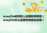 vivoy53s如何進(jìn)入應(yīng)用程序管理（vivoy53s怎么設(shè)置快速啟動(dòng)應(yīng)用）