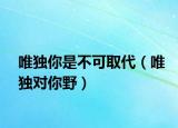 唯獨(dú)你是不可取代（唯獨(dú)對(duì)你野）