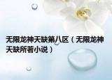 無限龍神天缺第八區(qū)（無限龍神 天缺所著小說）