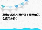 真我gt怎么應用分身（真我gt怎么應用分身）