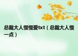 總裁大人慢慢愛txt（總裁大人慢一點）