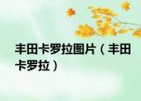 豐田卡羅拉圖片（豐田卡羅拉）