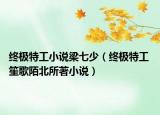 終極特工小說梁七少（終極特工 笙歌陌北所著小說）