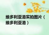 維多利亞港實拍圖片（維多利亞港）