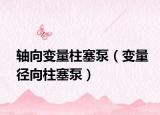 軸向變量柱塞泵（變量徑向柱塞泵）