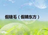 假睫毛（假睛東方）