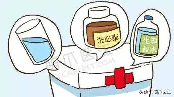 這14個(gè)養(yǎng)寵竅門，讓你省錢又省心！