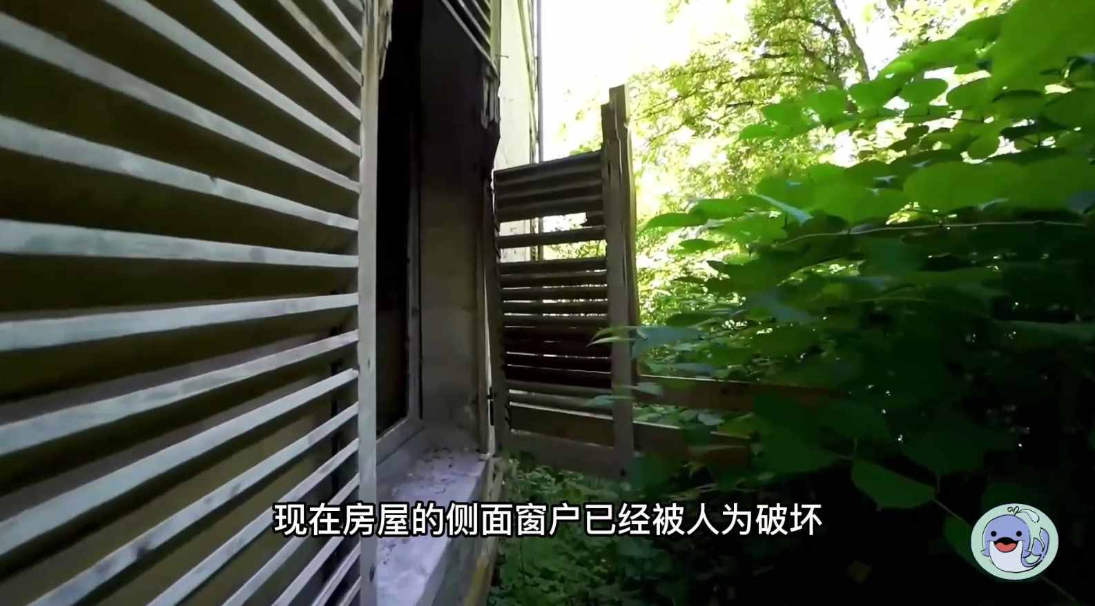 美國森林廢棄38年的城堡，一位中國女性來到這里，孤獨(dú)的生活