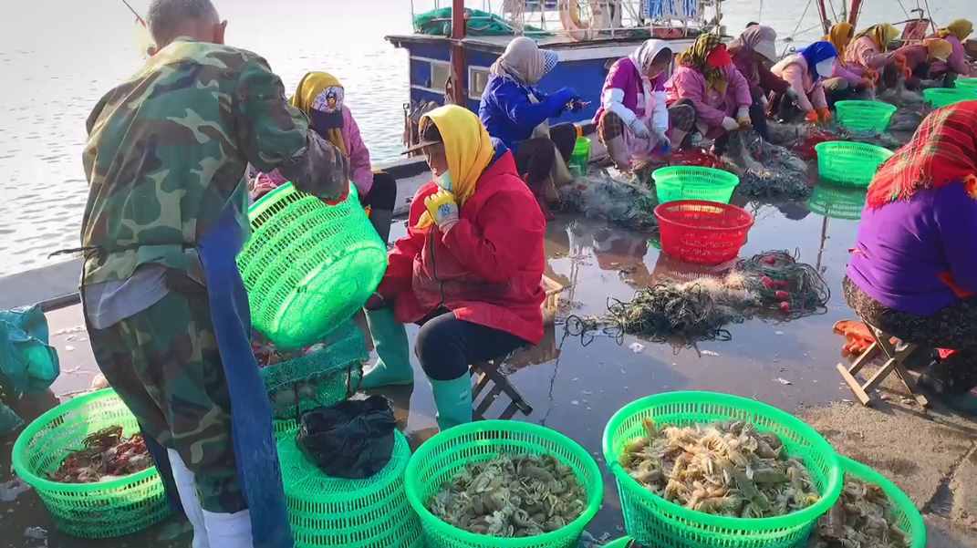 海邊人：皮皮蝦上有個“拉鏈”，3秒剝一個，方法真實(shí)用