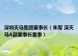深圳天馬集團董事長（朱軍 深天馬A副董事長董事）