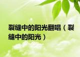 裂縫中的陽光翻唱（裂縫中的陽光）