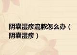 陰囊濕疹流膿怎么辦（陰囊濕疹）