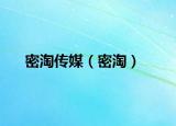 密淘傳媒（密淘）