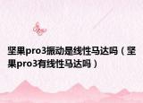 堅(jiān)果pro3振動(dòng)是線性馬達(dá)嗎（堅(jiān)果pro3有線性馬達(dá)嗎）