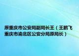 原重慶市公安局副局長(zhǎng)王（王鵬飛 重慶市渝北區(qū)公安分局原局長(zhǎng)）
