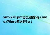 vivo x70 pro怎么設置5g（vivox70pro怎么開5g）
