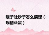蜆子吐沙子怎么清理（蜆精蒸蛋）