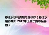 春江水暖鴨先知電影徐崢（春江水暖鴨先知 2017年王佩寧執(zhí)導(dǎo)輕喜劇）