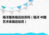 楊洋是體操運動員嗎（楊洋 中國藝術體操運動員）
