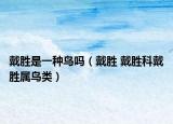 戴勝是一種鳥嗎（戴勝 戴勝科戴勝屬鳥類）