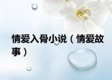情愛入骨小說（情愛故事）