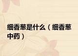 細(xì)香蔥是什么（細(xì)香蔥 中藥）