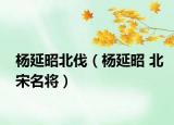楊延昭北伐（楊延昭 北宋名將）