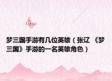 夢(mèng)三國(guó)手游有幾位英雄（張遼 《夢(mèng)三國(guó)》手游的一名英雄角色）