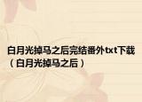 白月光掉馬之后完結(jié)番外txt下載（白月光掉馬之后）