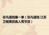 非凡搭檔第一季（非凡搭檔 江蘇衛(wèi)視競技真人秀節(jié)目）