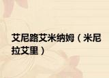 艾尼路艾米納姆（米尼拉艾里）