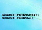 青島海高城市開發(fā)集團(tuán)有限公司董事長（青島海高城市開發(fā)集團(tuán)有限公司）