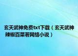 玄天武神免費txt下載（玄天武神 辣椒百菜著網(wǎng)絡(luò)小說）