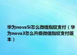 華為nova5i怎么微信指紋支付（華為nova3怎么升級微信指紋支付版本）