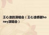 王心凌的演唱會（王心凌感謝honey演唱會）